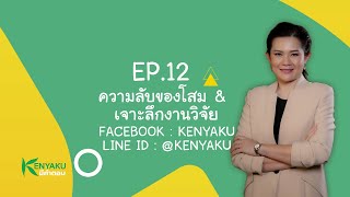 Kenayku มีคำตอบ ?  EP. 12  ความลับของโสม