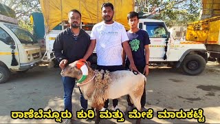 Ranebennur sheep and goats market update Every Sunday morning bazar Karnataka India