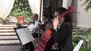 Los Angeles String Trio/Quartet