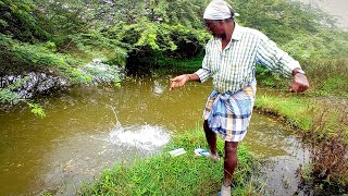 Unbelievable Catching of YELLOW Murrel Fish in Unexpected Pond | Best Single Hook Fishing Video