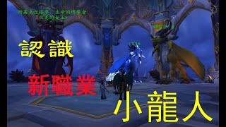 前瞻！魔獸10.0半龍人喚能師介紹：入門、形態切換、專精技能區分與五大特色