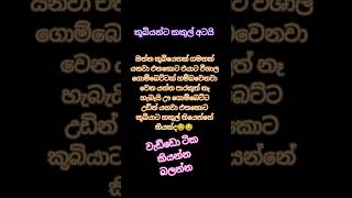 හරි උත්තරේ කියන පලවෙනි 5ස්දෙනාට මම ❤️❤️❤️❤️❤️වැස්සක් දෙනවා #ආතල් #ප්‍රශ්න