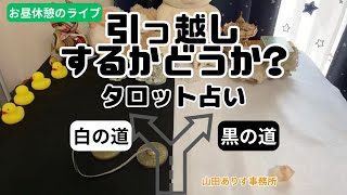 タロット占い　引越しするか？しないか？二者択一のライブ配信