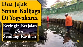 Jejak Sunan Kalijaga di Yogyakarta, Ada Beringin Berjalan dan Sendang Pengasihan