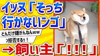 【2ch動物スレ】イッヌ「そっち行かないンゴ！」