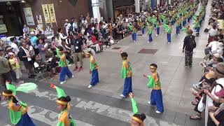 帯屋町筋ジュニア隊 第66回よさこい祭り8月10日