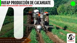 INIFAP | Tecnología para la producción de Cacahuate en la Costa de Oaxaca 2012