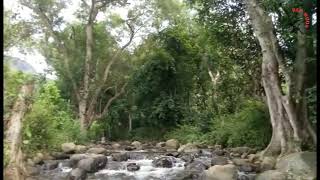 Moongil Kaadugale Video Song 4K | Samurai Tamil Movie | Harris Jayaraj | Sarabanga River Salem 2021