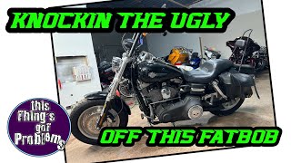 Detailing Tips - Harley Davidson Fat Bob - Paint Correction - Fork Repaint and more!