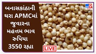 Mandi LIVE : બનાસકાંઠાની થરા APMCમાં જુવારના મહત્તમ ભાવ રુપિયા 3550 રહ્યા | Tv9news