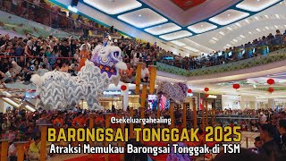 🦁✨ Spectacular Lion Dance on Poles | Chinese New Year 2025 Celebration! 🎉🐲