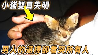 Born blind kitten  the doctor advised it to be euthanized  but the man's choice made everyone cry.