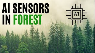 AI sensors in the forest can smell a wildfire before it spreads | TMTNT TECHNOLOGY