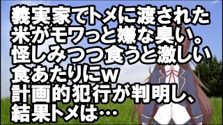 【スカッとする話】義実家でトメに渡された米がモワっと嫌な臭い。怪しみつつ食うと激しい食あたりにｗ計画的犯行が判明し、結果トメは…【スカッと】【Vtuber】【スカッとちゃんねるのマイ】