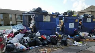 Apartment residents say complaints about overflowing trash, rats and roaches constantly ignored