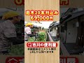 庭木20本刈込み剪定【千葉県市川市の便利屋 ショート 】作業料目安・お見積りは概要欄をご覧下さい！ 剪定 刈込み