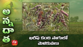 ఖరీఫ్ కంది సాగులో మెళకువలు | Tips for kharif Redgram | ETV