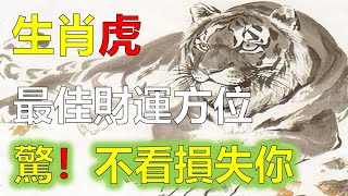 屬虎今年財運在哪個方向，屬虎人2023年最佳財運方位，2023年12生肖运势，預測十二生肖（鼠、龍、猴、兔）生肖運勢（牛、蛇、雞、豬）生肖運勢（虎、馬、狗、羊）生肖運程