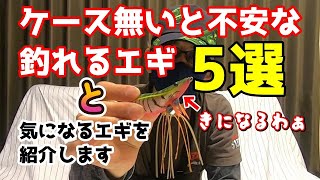 【エギング】ケースに無いと不安になる釣れるエギ5選!!　そしてDUELの新作とっても気になるエギを紹介します!!