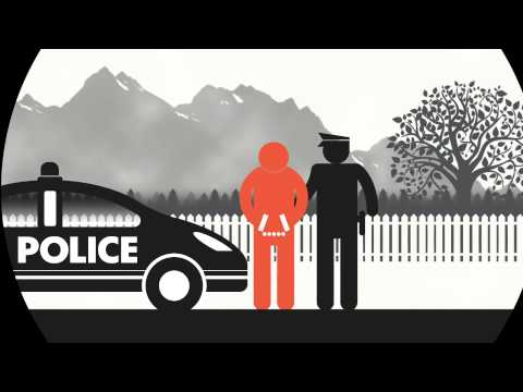 What is the reason for extradition?