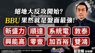 絕地大反攻開始?(BBU)果然就是盤面最強!新盛力、順達、系統電、敦泰興能高、加百裕、零壹、雙鴻｜2024/11/19｜藍登耀 分析師｜金融鬼谷子