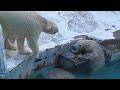 イっちゃん行ってらっしゃい💗今までありがとう【天王寺動物園】