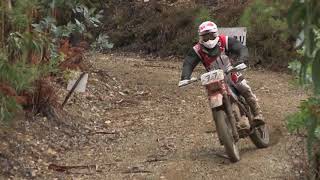 Raid Góis 2018 - Armindo Neves - Honda XR 400