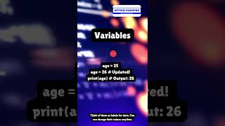 🐍 Python Basics: Variables vs. Constants #reel #coding #trending