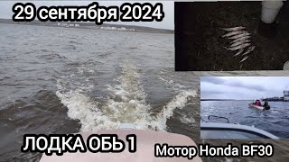 29 сентября 2024 Лодка Обь 1 мотор Honda Bf30