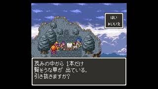 #25【DQ6 VC】モンストル～北の山：モンストラー