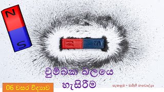 චුම්බක ධ්‍රැව හැසිරීම