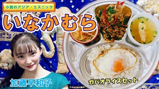 【小岩でランチ】大泉洋も来店した本格タイ料理屋『いなかむら』で「ガパオライス」を食べてみた【加藤早和子】