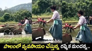 Actress Rashmika Mandanna Farming In Fields || Rashmika Latest Cute Video || Silver Screen