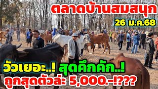 ราคาวัววันนี้ 26 ม.ค.68 ตลาดบ้านสมสนุก วัวเยอะ สุดคึกคัก‼️ถูกสุดๆ ตัวล่ะ 5,000.-??? โทรไวได้ก่อนเด้อ