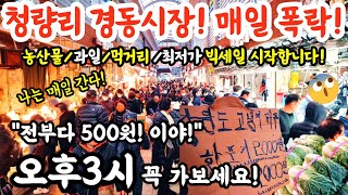 경동청량리시장! 매일 폭락!  농산물, 과일, 먹거리, 최저가 폭락! 소식! 전부 500원! 꼭 3시가보세요! #시장 #food #김치 #김장 #먹거리  #요리 #반찬 #쇼핑