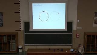 Stefano Ruffo - Statistical physics of the Kuramoto model