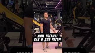 🔥ЖИМ НОГАМИ: КАК И ДЛЯ ЧЕГО?!