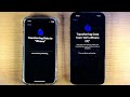 How To Transfer Data from Old iPhone to iPhone 14 Pro!