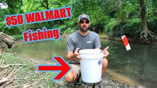 $50 Walmart Budget Fishing for BEGINNERS