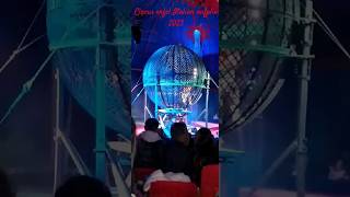 Circus orfel Italian nafplio 2023