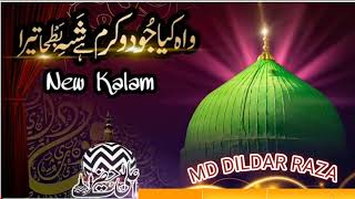 Wah kya jood karam hai || New Beautiful Naat Sharif 2024 || Md Dildar Raza  #naatsharif #newkalaam