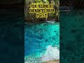 “Magic Bites: Premium Fish Feed for Enchanted River” Part 2 #travelvlog #enchantedriver #travel