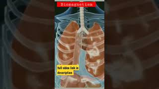 Benefit of Biomagnetism|#shorts |#ebiotorium