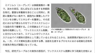 ミドリムシからバイオ燃料の油脂生産時に発生する、硫黄化合物を減らしながら増産に向けての研究結果ができた