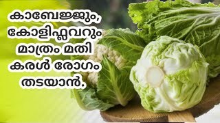 കാബേജ്ജും,കോളിഫ്ലവറും മാത്രം മതി കരൾരോഗം തടയാൻ|കൂടെ കഴിക്കേണ്ടത്|Fatty liver|Reducing liver decease