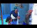 ዓለም ድራማ ተኸታታሊት ኮሚዲ 1ይ ክፋል alem drama best tigrigna series drama episode1 gere emun brey እንዳ ትሕሽ