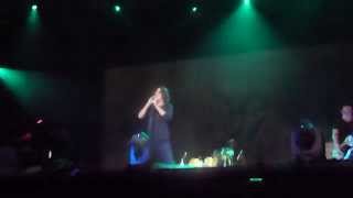 Soundgarden - Outshined - Lollapalooza Brasil 2014