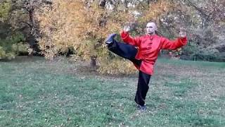 8 форм тайчи / 8 forms tai chi