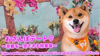 【To Shogunzuka where you can overlook Kyoto】京都を一望できる将軍塚へ！嵐山の柴犬ジェームス！～Shiba inu james by kyoto～