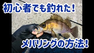 初心者でも釣れた！メバリングの方法！